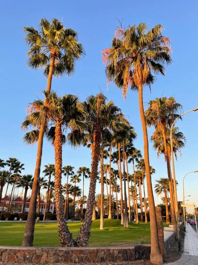 Playa Del Ingles Vitamine D Garantie San Bartolomé Dış mekan fotoğraf